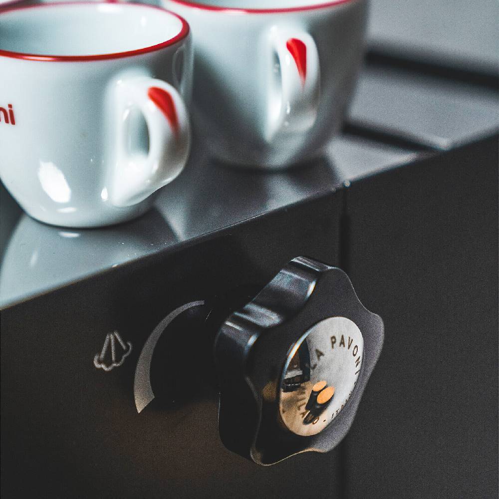 La Pavoni NEW CASABAR PID NERA Economico