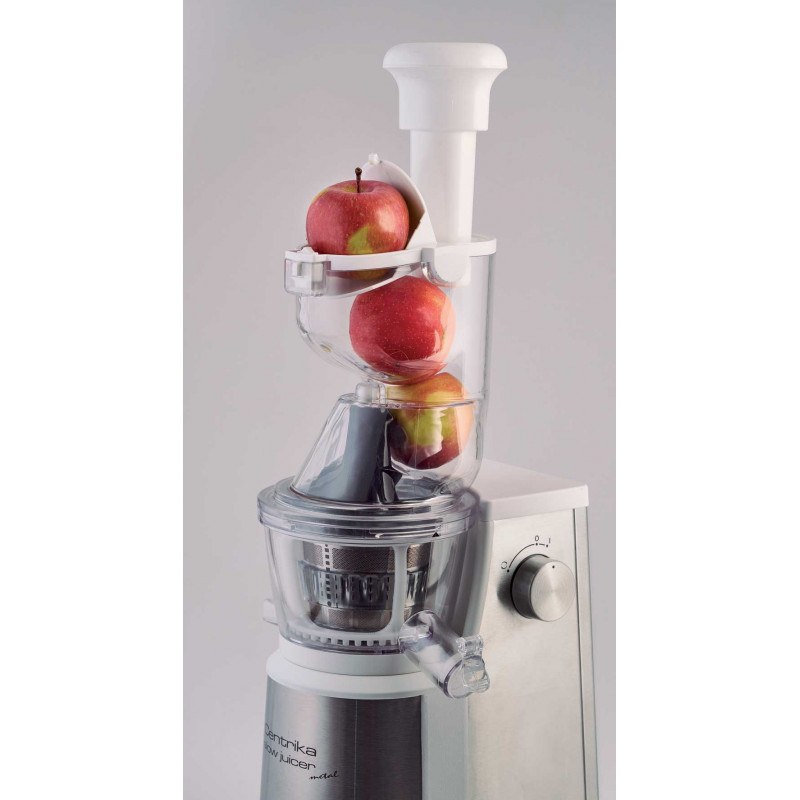 Ariete CENTRIKA SLOW JUICER METAL Online