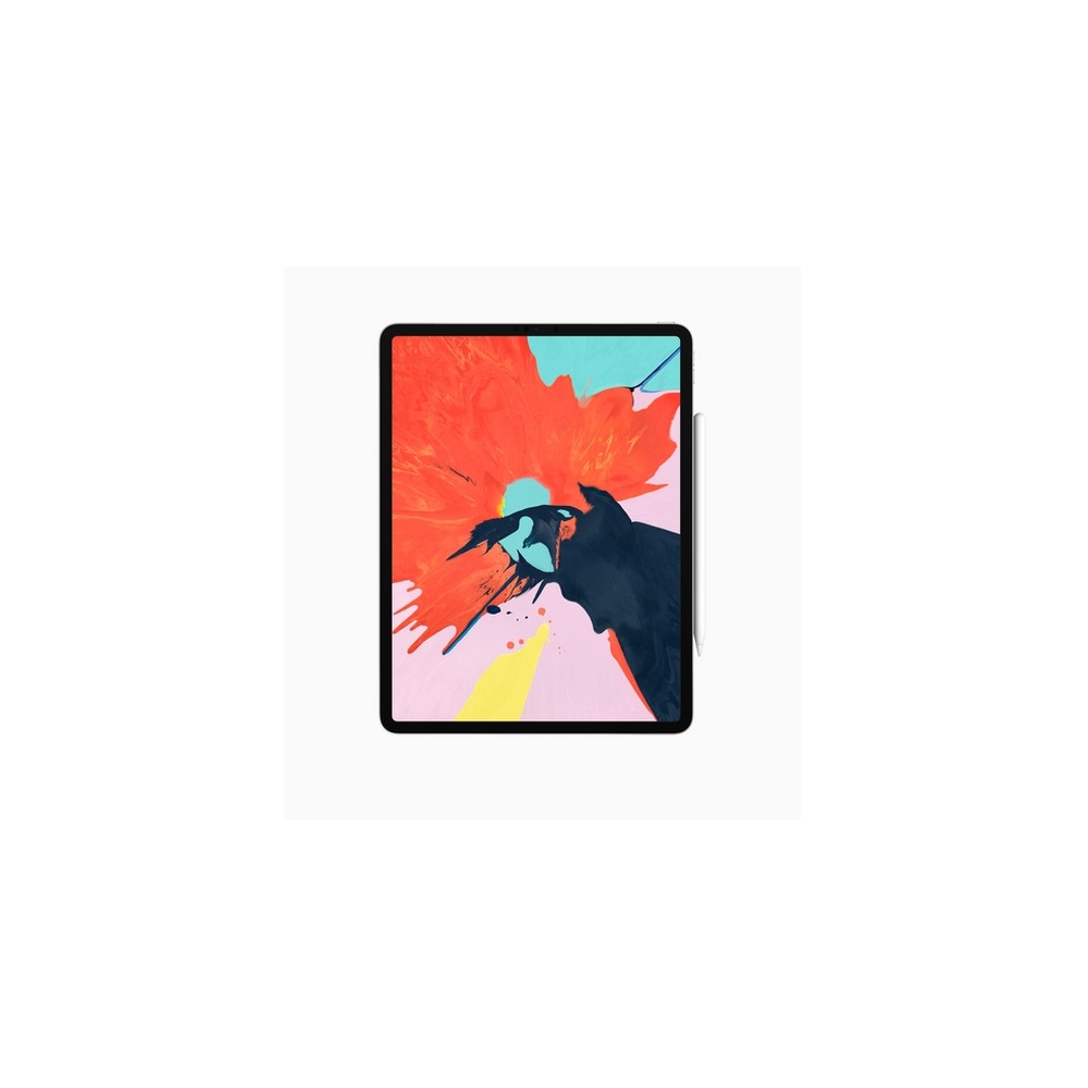 APPLE USATO PREMIUM iPad Pro 12 9" (2018 - 3th gen) Wi-Fi - 64GB Argento - USATO GRADO A Affare Del Giorno