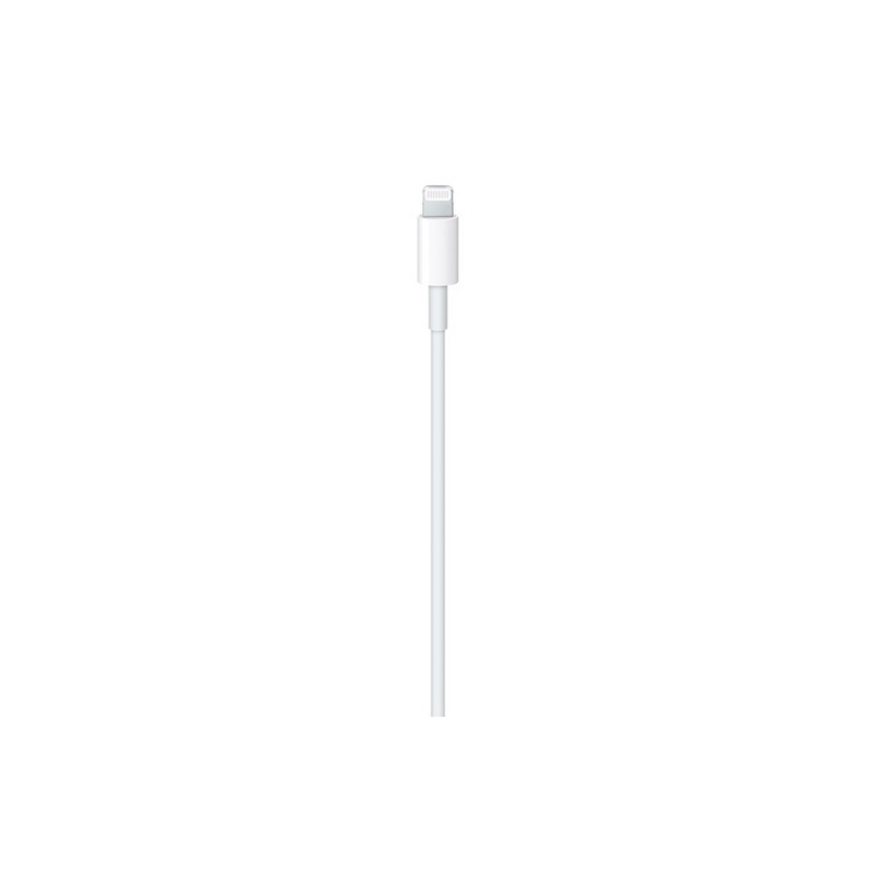 APPLE Cavo Apple Lightning a USB-C Soddisfazione Garantita