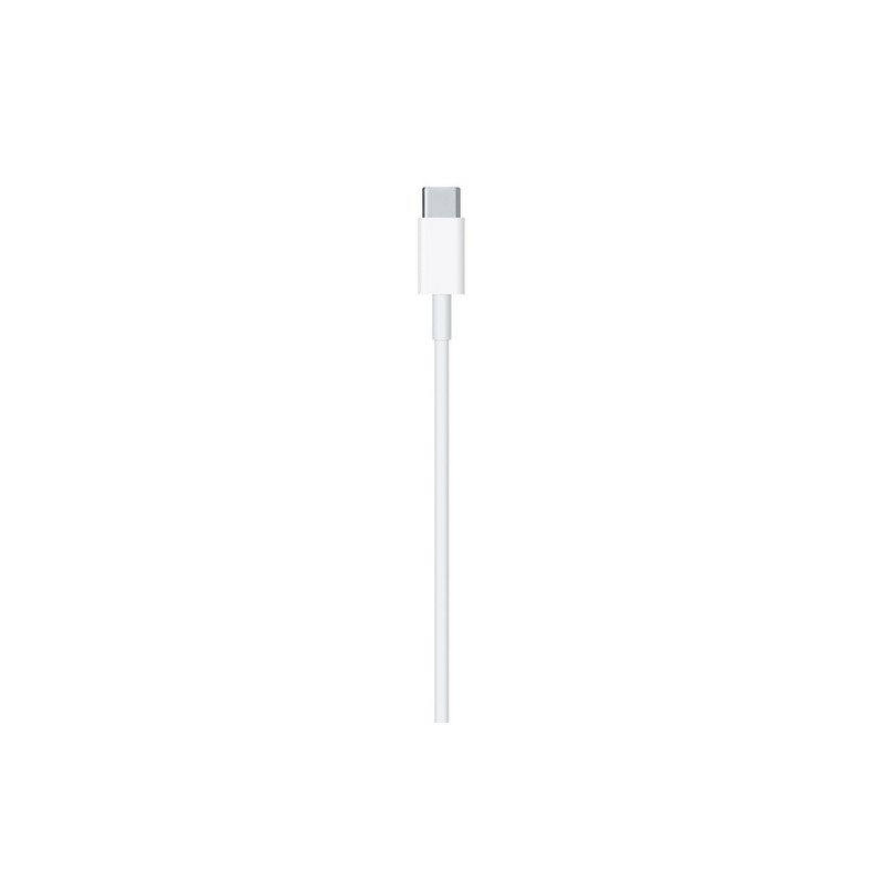 APPLE CAVO APPLE LIGHTNING USB-C Hotsell