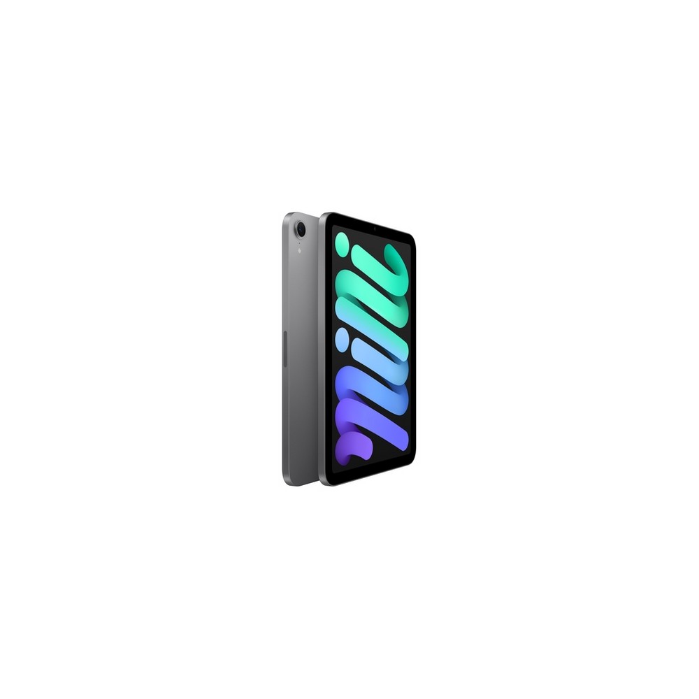 APPLE iPad mini Wi-Fi 256GB Sostegno trimestrale
