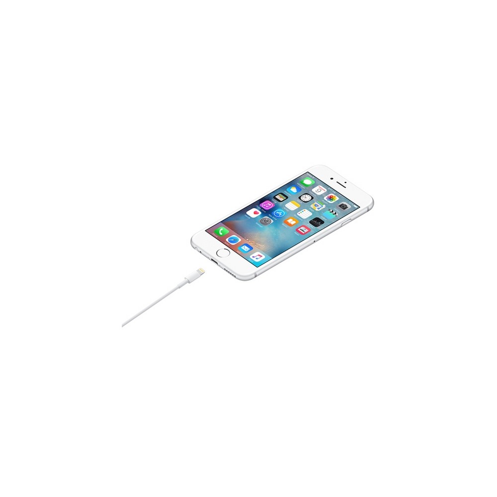 APPLE CAVO APPLE DA LIGHTNING A USB Offerte